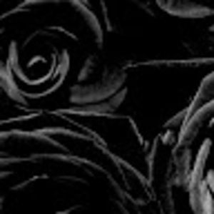 Meet your Posher, Kylie